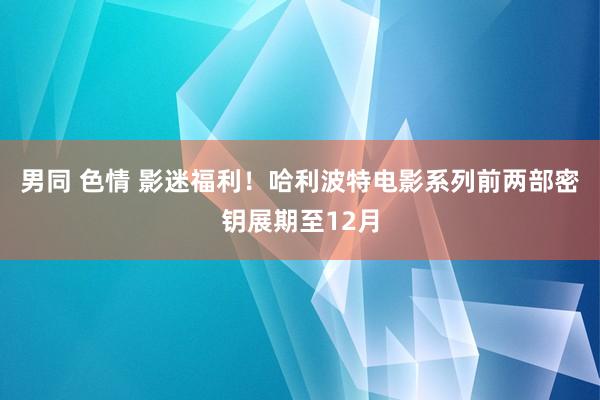 男同 色情 影迷福利！哈利波特电影系列前两部密钥展期至12月