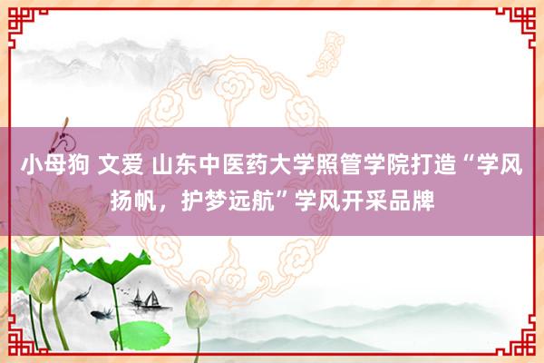小母狗 文爱 山东中医药大学照管学院打造“学风扬帆，护梦远航”学风开采品牌