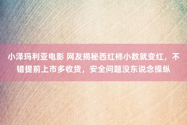 小泽玛利亚电影 网友揭秘西红柿小数就变红，不错提前上市多收货，安全问题没东说念操纵