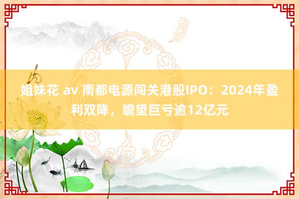 姐妹花 av 南都电源闯关港股IPO：2024年盈利双降，瞻望巨亏逾12亿元