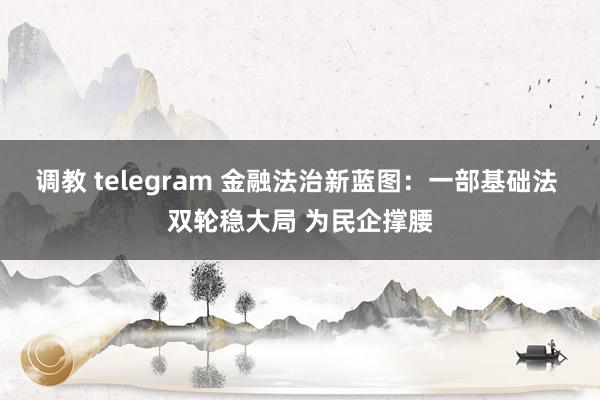 调教 telegram 金融法治新蓝图：一部基础法 双轮稳大局 为民企撑腰
