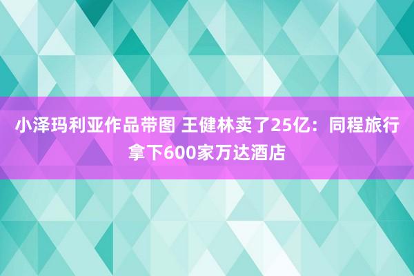 小泽玛利亚作品带图 王健林卖了25亿：同程旅行拿下600家万达酒店