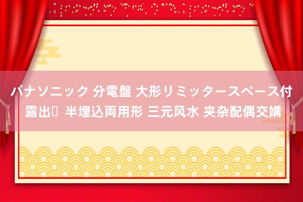 パナソニック 分電盤 大形リミッタースペース付 露出・半埋込両用形 三元风水 夹杂配偶交媾