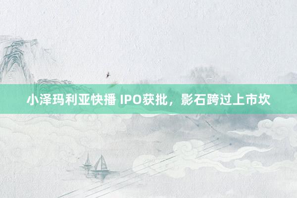 小泽玛利亚快播 IPO获批，影石跨过上市坎